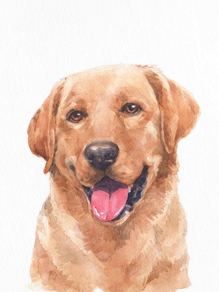 Lab Days 2 art print by Kimberly Allen for $57.95 CAD