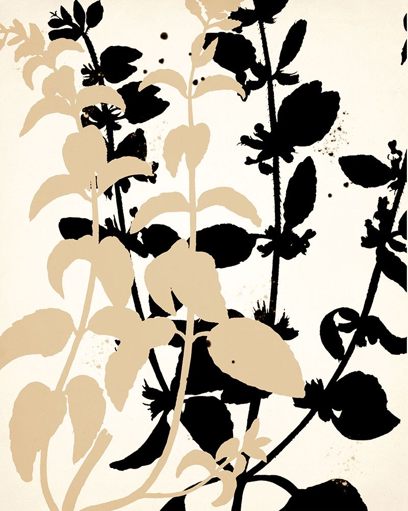 Botanical Black And Cream 2 art print by Kimberly Allen for $57.95 CAD