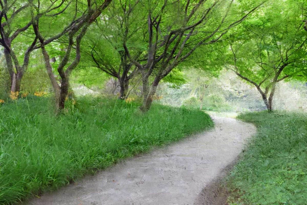 Along the Path art print by Kimberly Allen for $57.95 CAD