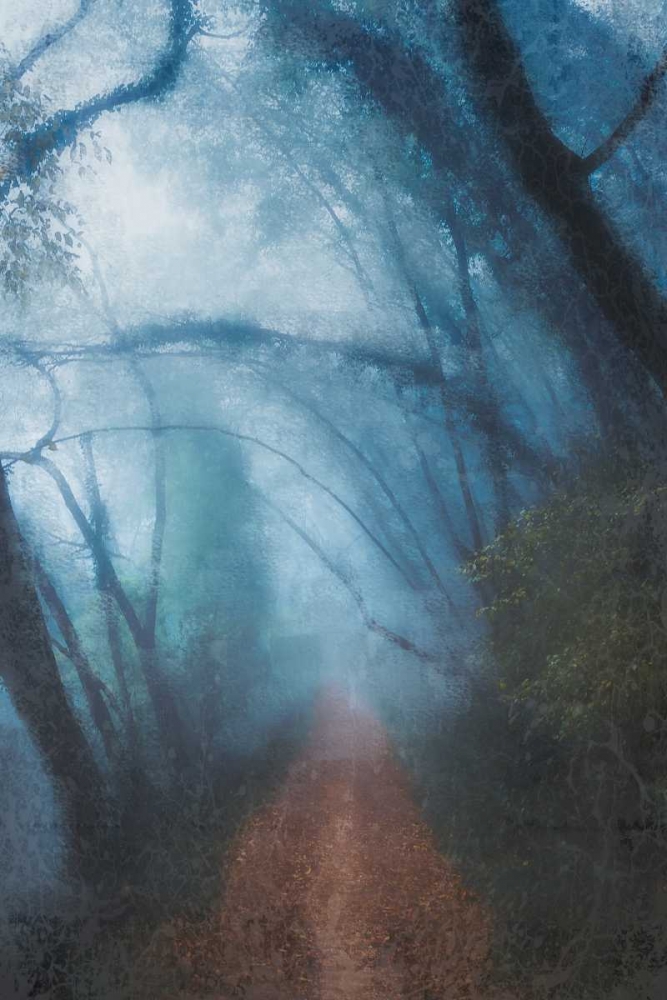 Forest Blues art print by Kimberly Allen for $57.95 CAD