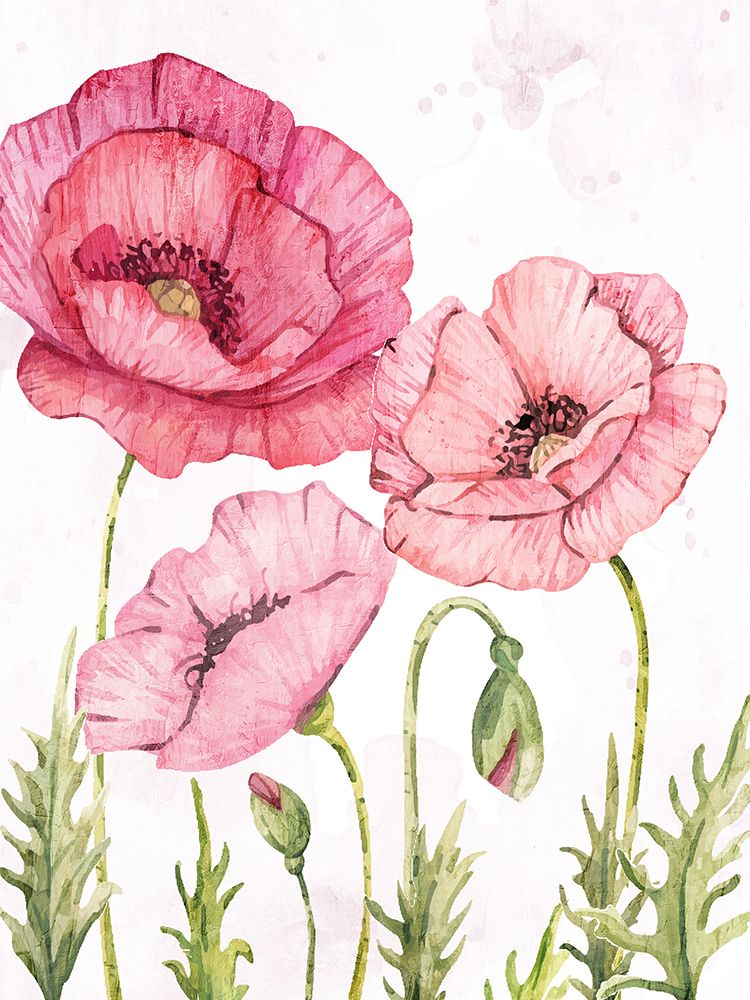 Pink Poppies 1 art print by Kimberly Allen for $57.95 CAD