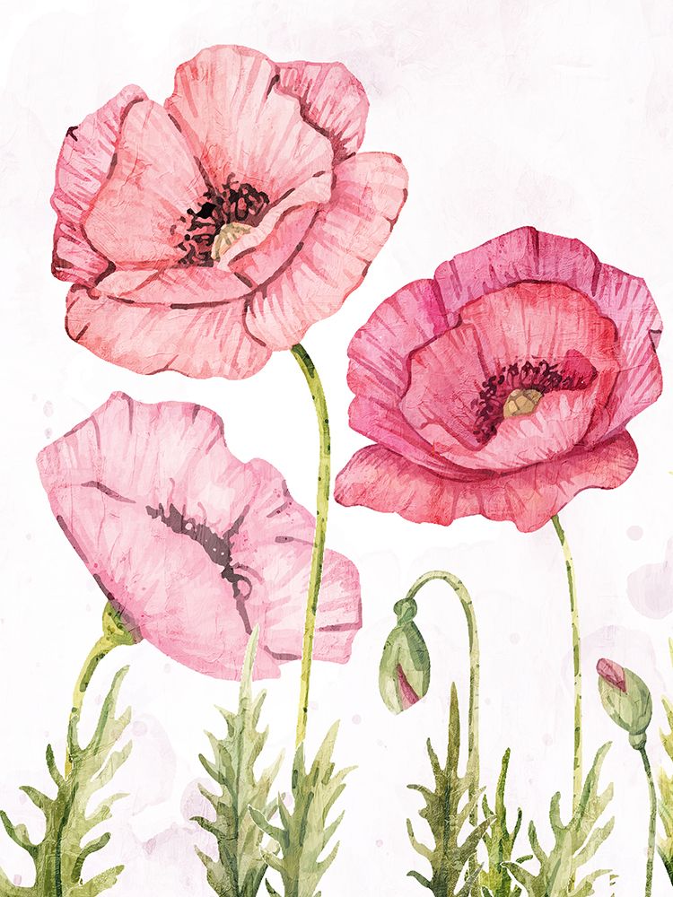 Pink Poppies 2 art print by Kimberly Allen for $57.95 CAD