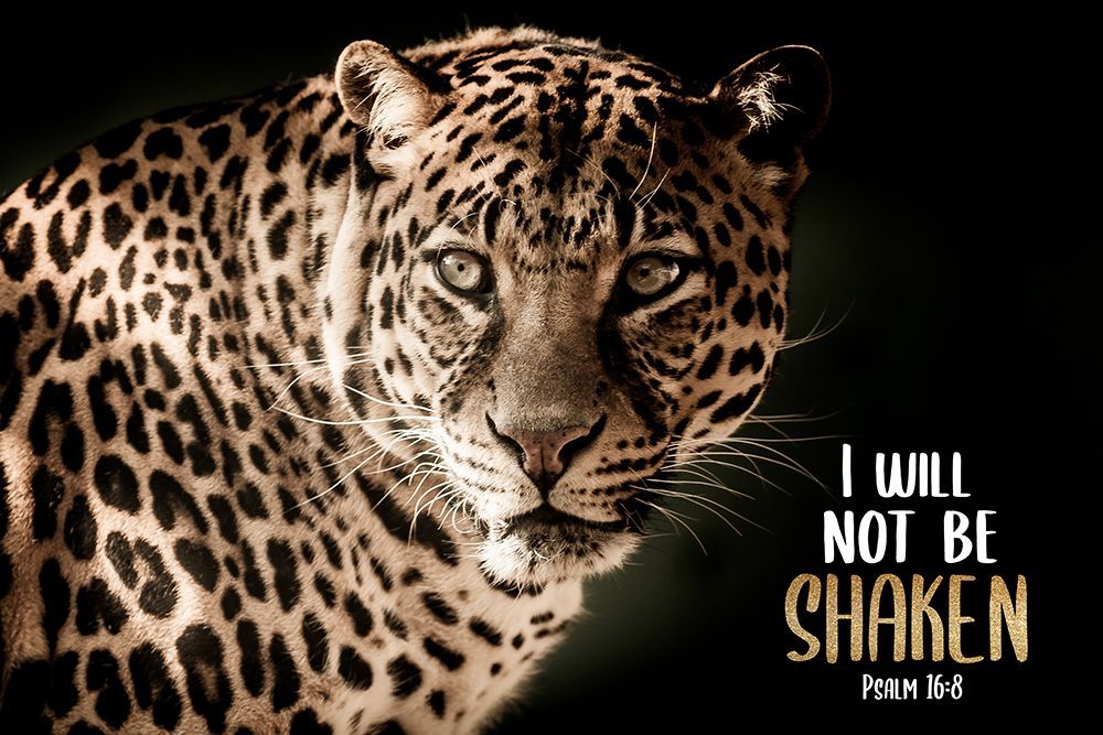 Shaken art print by Kimberly Allen for $57.95 CAD