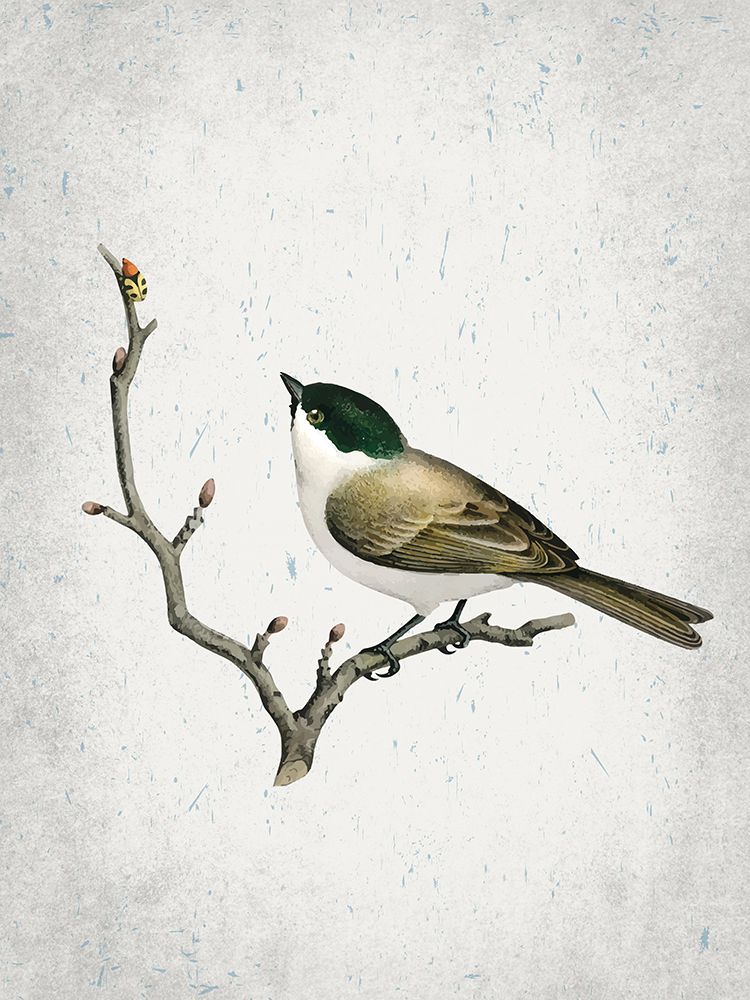 Tweet 1 art print by Kimberly Allen for $57.95 CAD