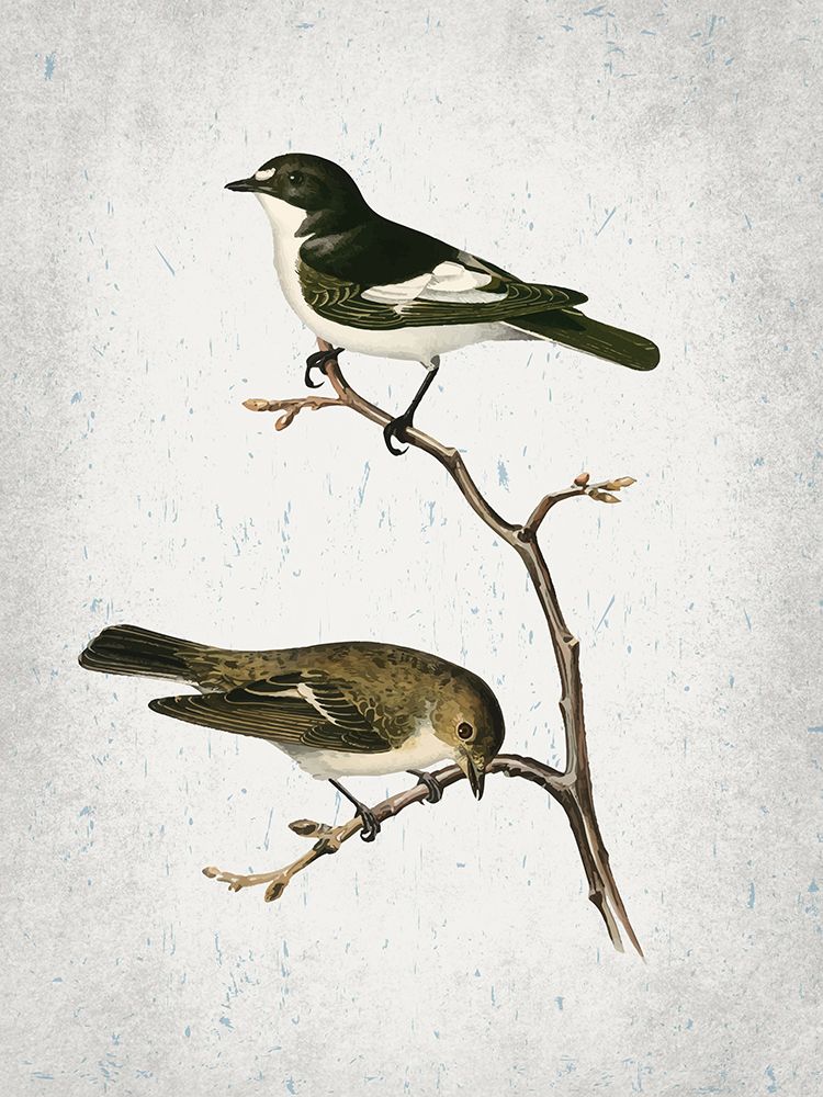 Tweet 2 art print by Kimberly Allen for $57.95 CAD