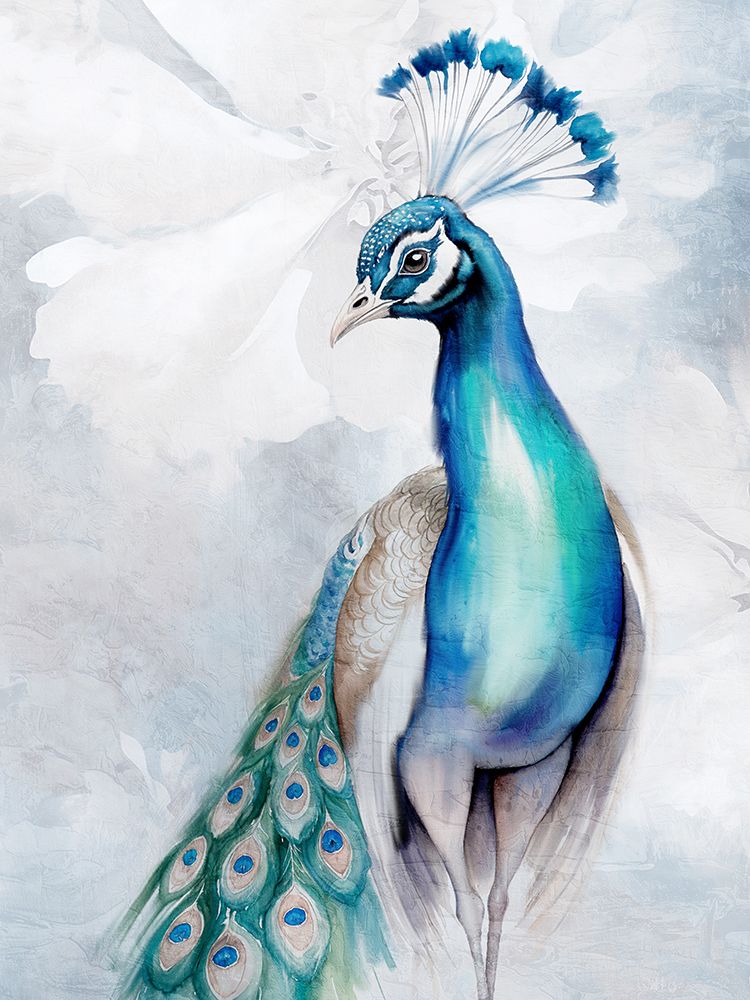 Floral Peacock 1 art print by Kimberly Allen for $57.95 CAD