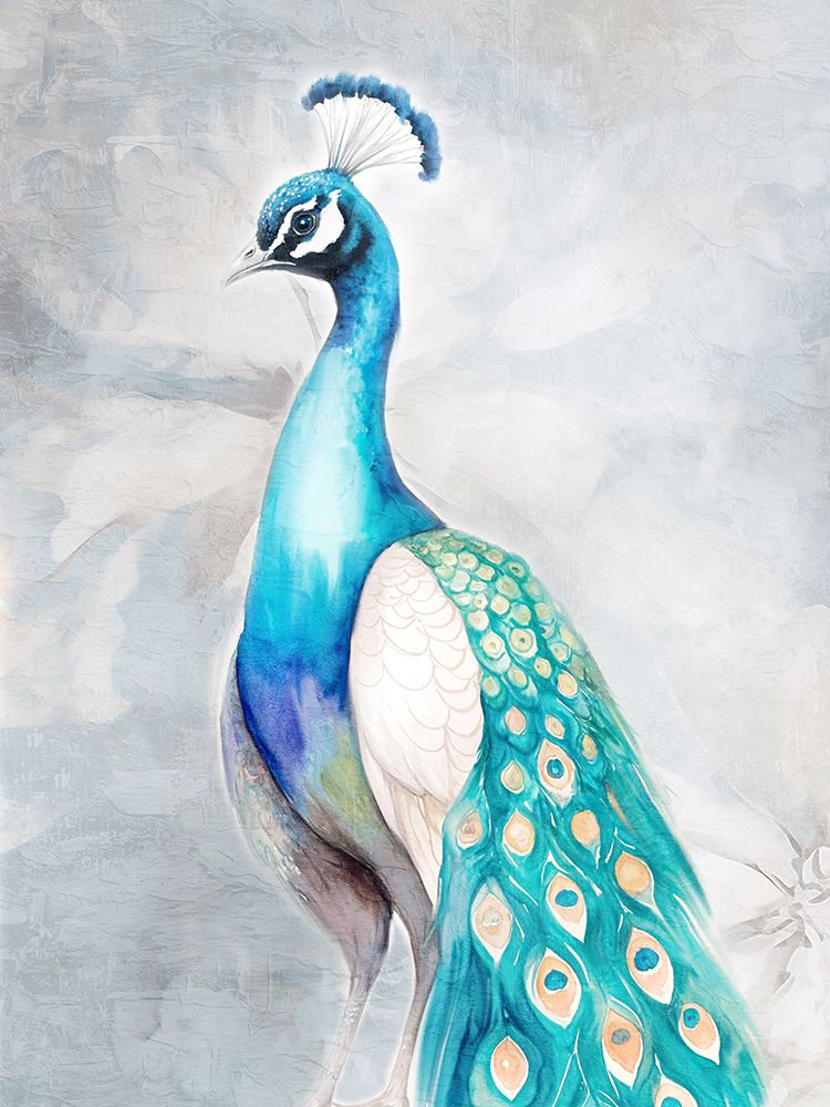 Floral Peacock 2 art print by Kimberly Allen for $57.95 CAD