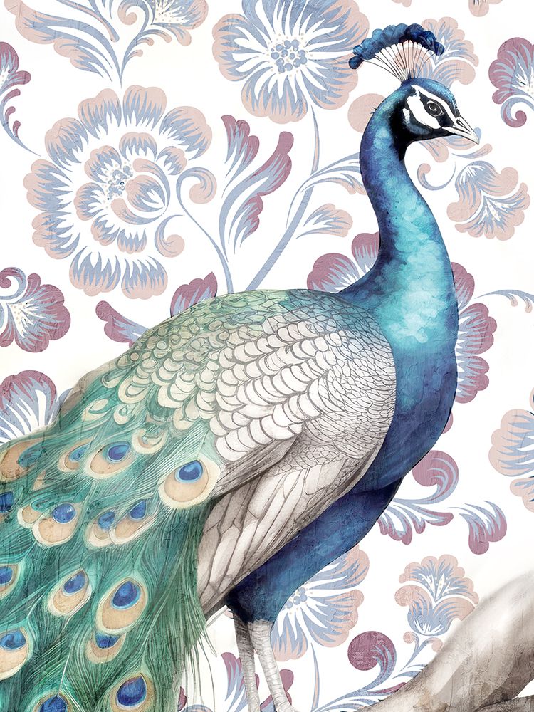 Peacock Pattern 1 art print by Kimberly Allen for $57.95 CAD