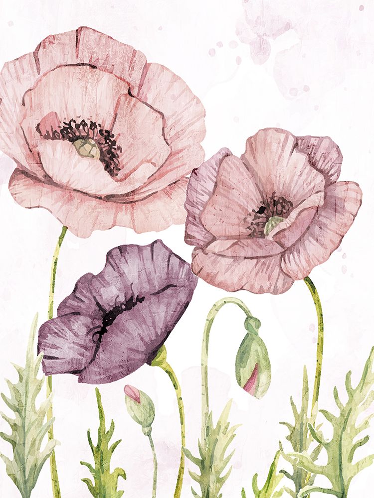 Soft Poppies 1 art print by Kimberly Allen for $57.95 CAD