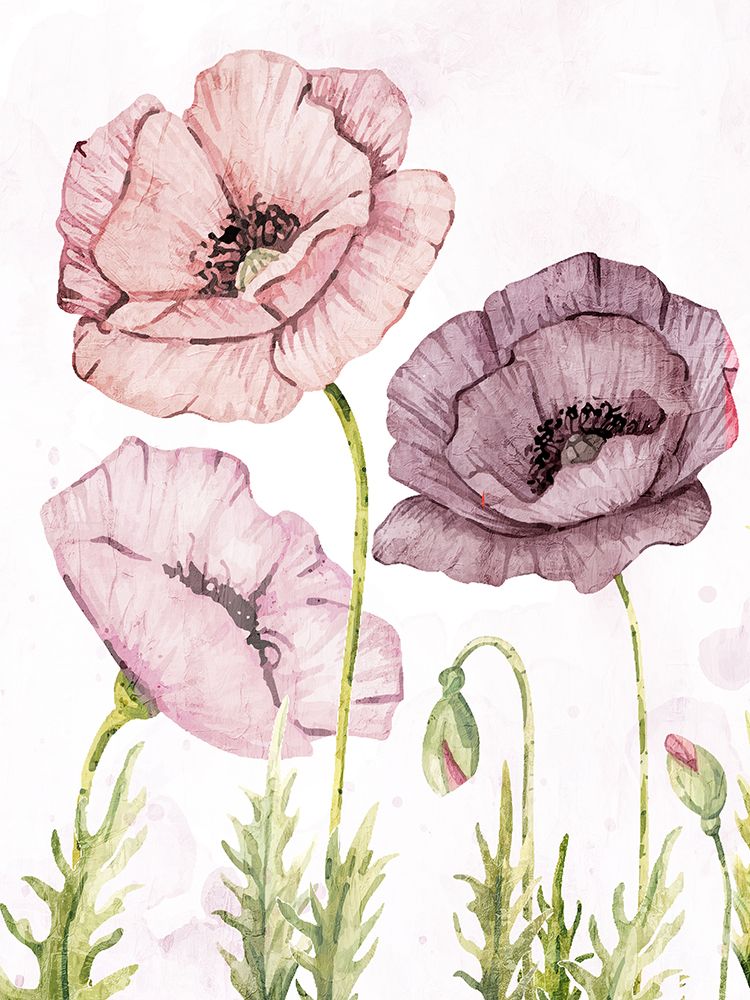 Soft Poppies 2 art print by Kimberly Allen for $57.95 CAD