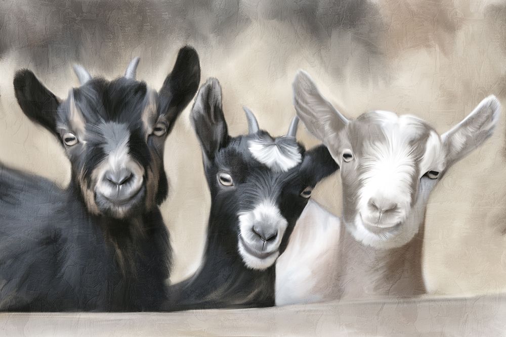My Three art print by Kimberly Allen for $57.95 CAD