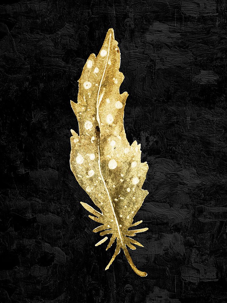 Feather On Black 1 art print by Kimberly Allen for $57.95 CAD