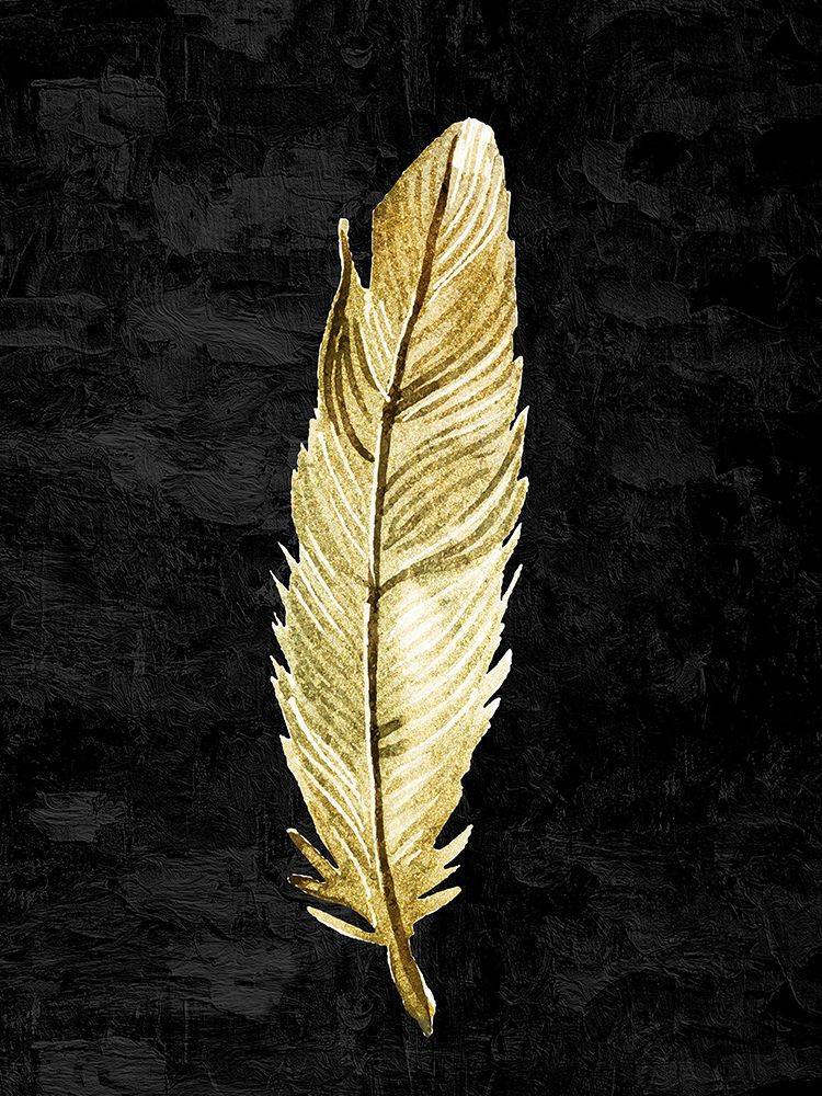 Feather On Black 2 art print by Kimberly Allen for $57.95 CAD