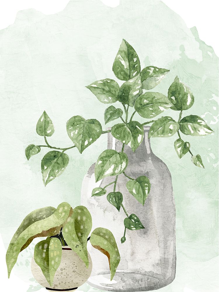 Botanical prints and posters
