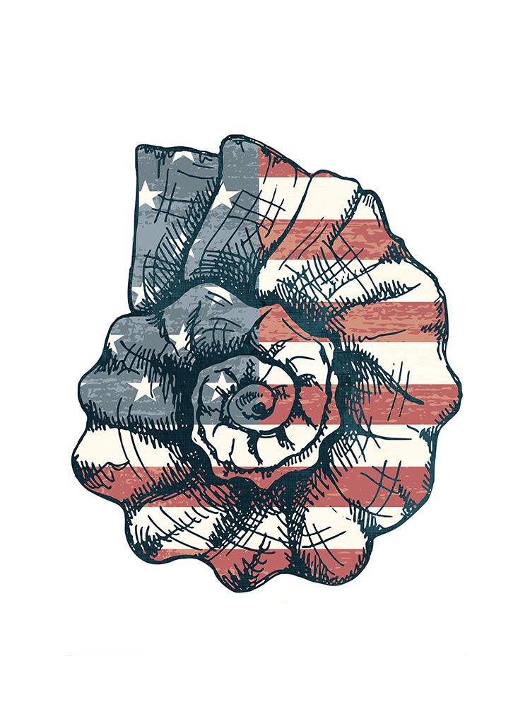 American Shell 1 art print by Kimberly Allen for $57.95 CAD