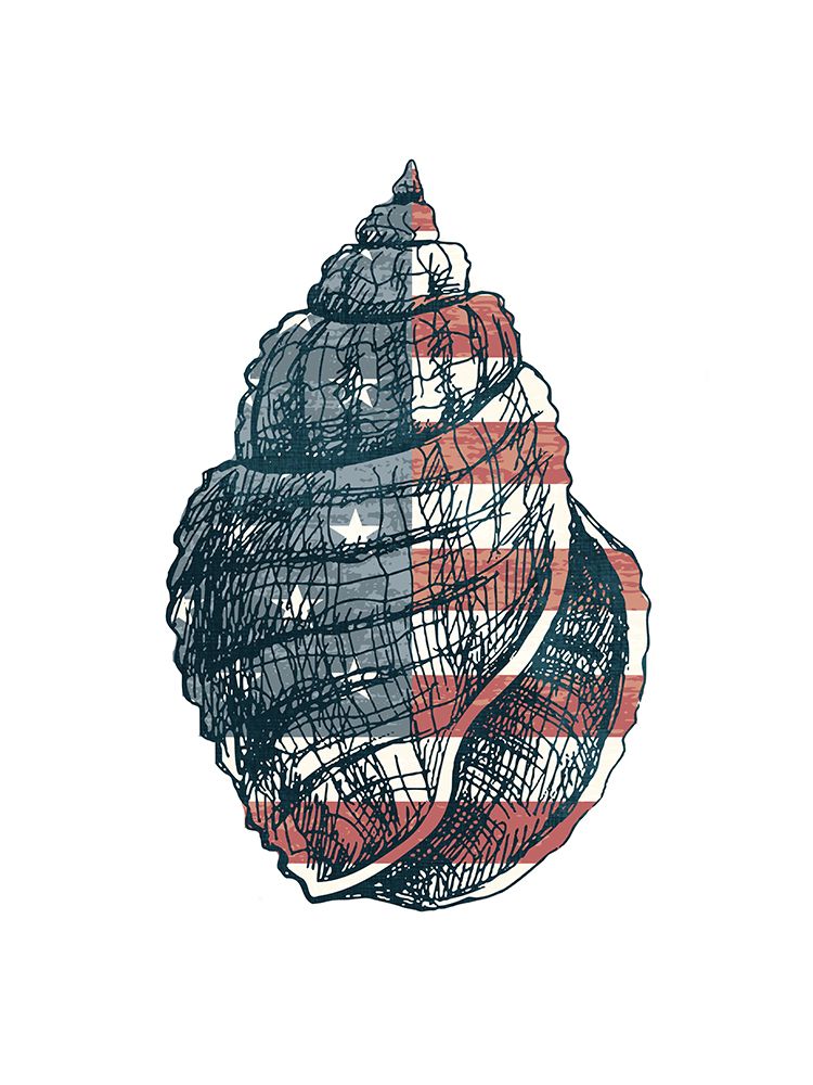 American Shell 2 art print by Kimberly Allen for $57.95 CAD