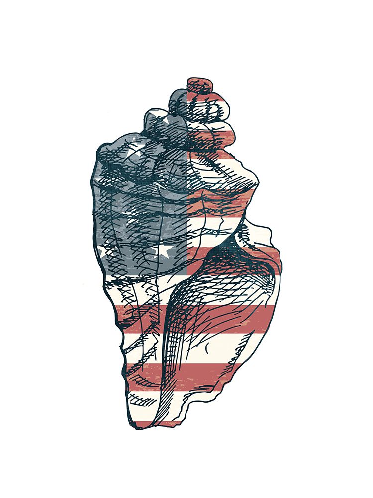 American Shell 3 art print by Kimberly Allen for $57.95 CAD