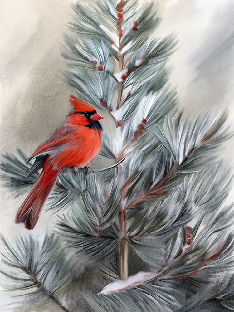 Cardinal Snow art print by Kimberly Allen for $57.95 CAD