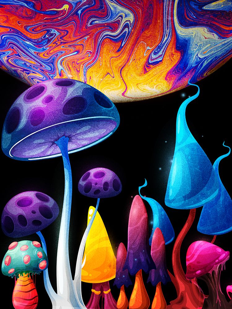 Space Mushroom 1 art print by Kimberly Allen for $57.95 CAD