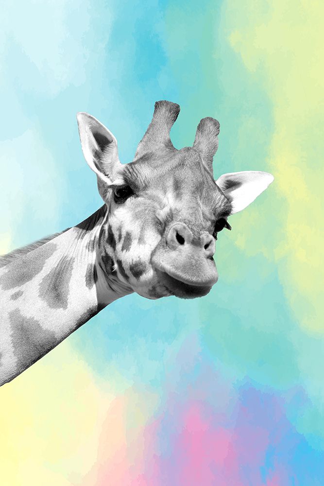 Quirky Giraffes 1 art print by Kimberly Allen for $57.95 CAD