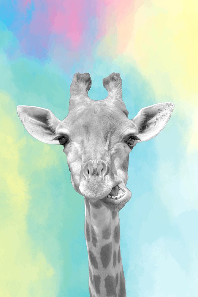 Quirky Giraffes 2 art print by Kimberly Allen for $57.95 CAD