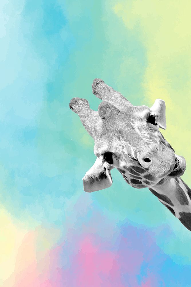 Quirky Giraffes 3 art print by Kimberly Allen for $57.95 CAD