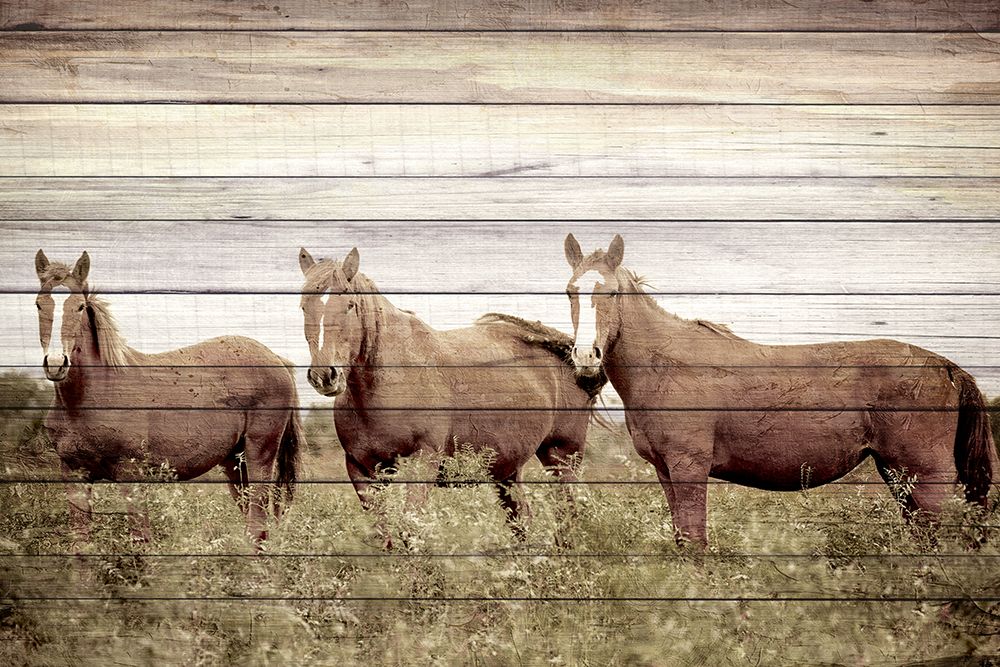 Beauties art print by Kimberly Allen for $57.95 CAD