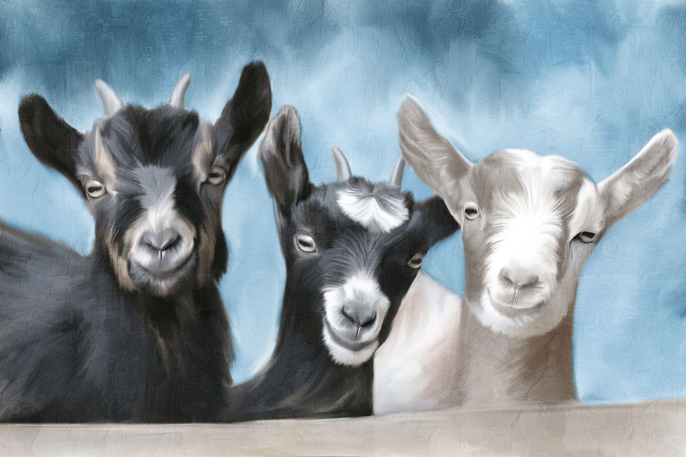 My Three V2 art print by Kimberly Allen for $57.95 CAD