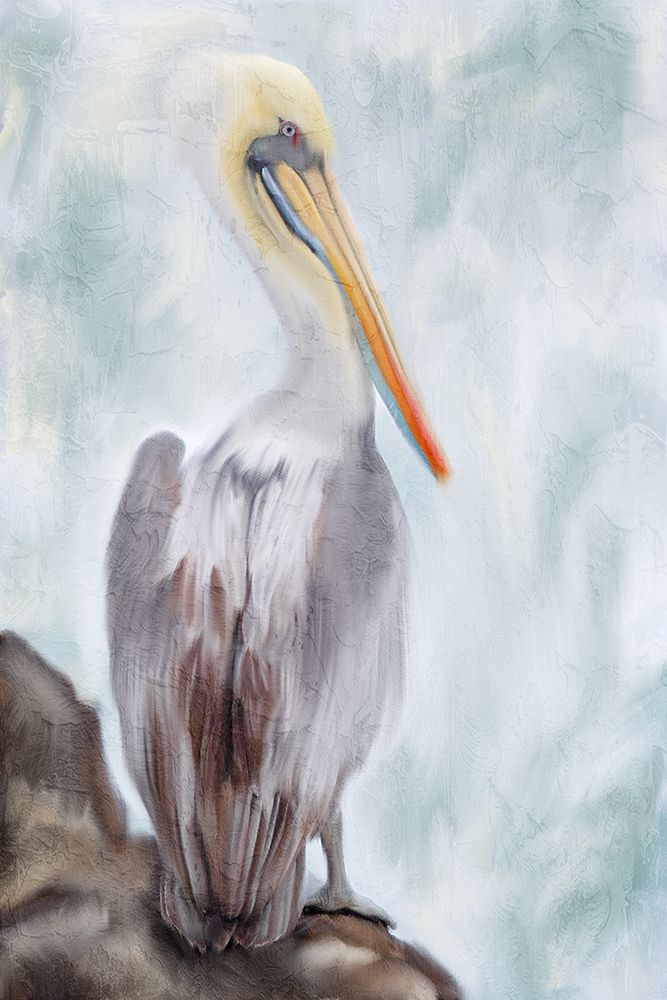 On Watch art print by Kimberly Allen for $57.95 CAD