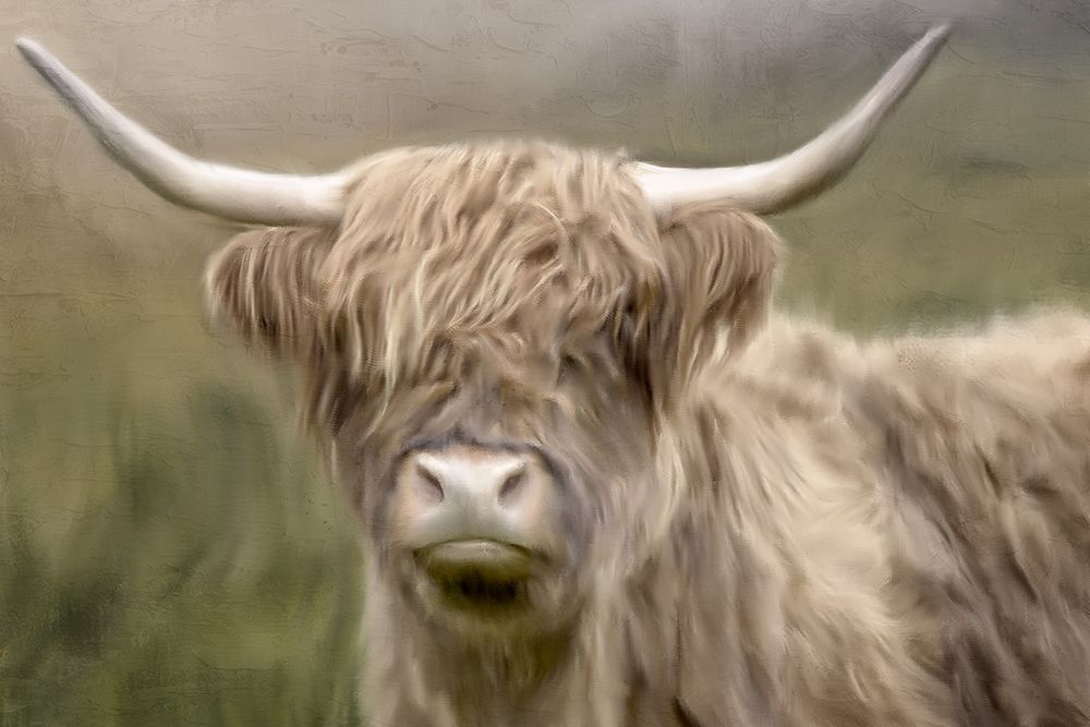 Highland Dreams art print by Kimberly Allen for $57.95 CAD