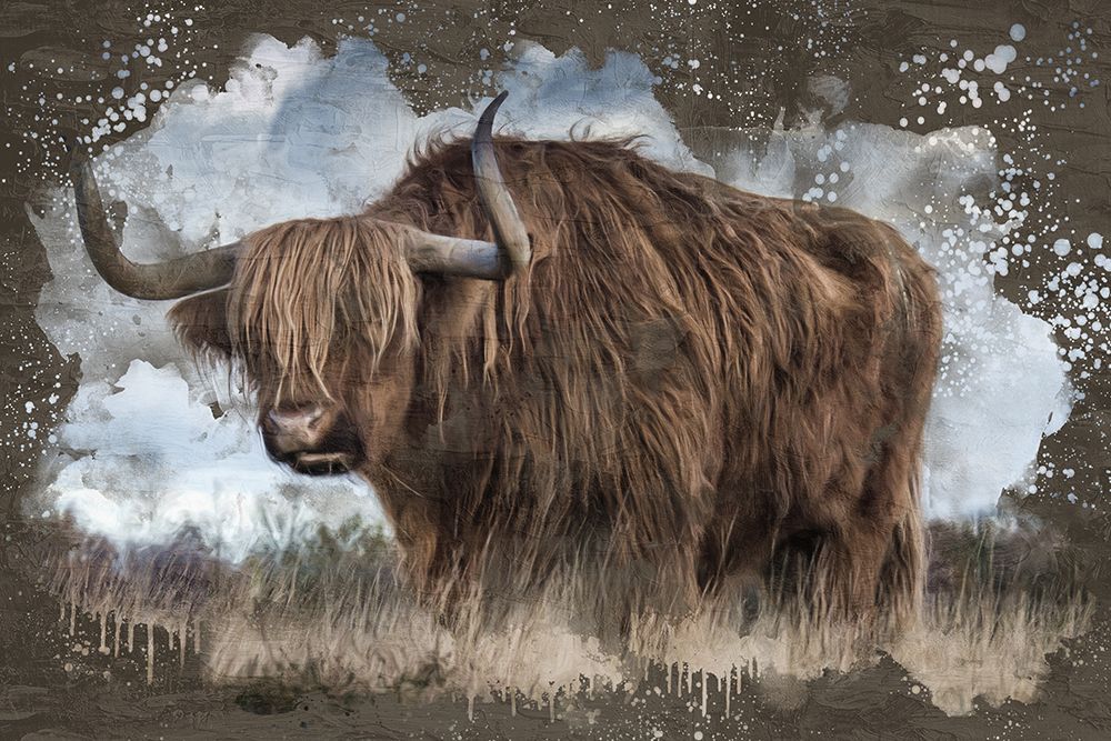 Long Horn Field art print by Kimberly Allen for $57.95 CAD