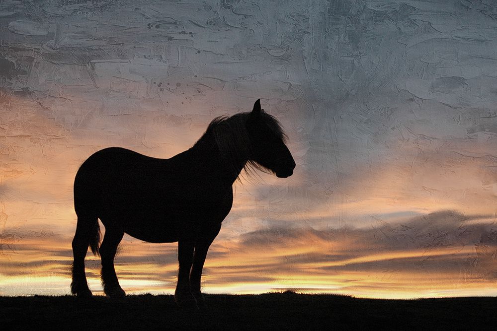 Sunset Horse art print by Kimberly Allen for $57.95 CAD