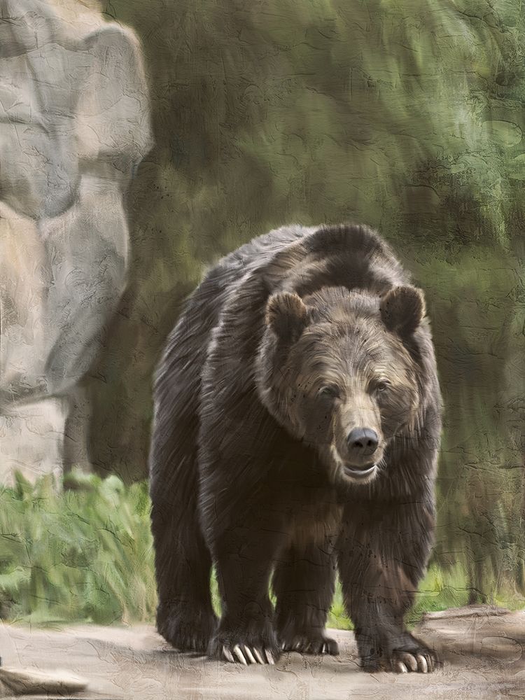 Afternoon Walk art print by Kimberly Allen for $57.95 CAD