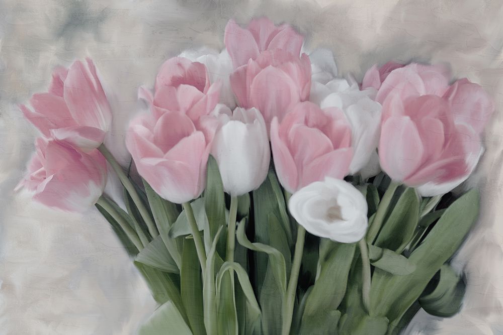 Pink And White Tulips art print by Kimberly Allen for $57.95 CAD