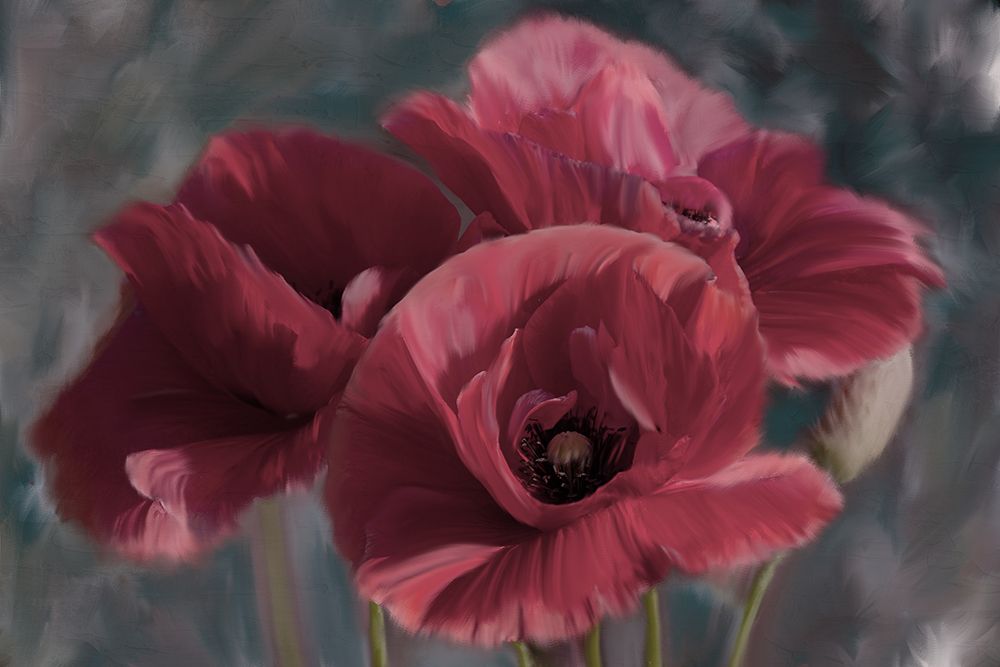 Poppies art print by Kimberly Allen for $57.95 CAD