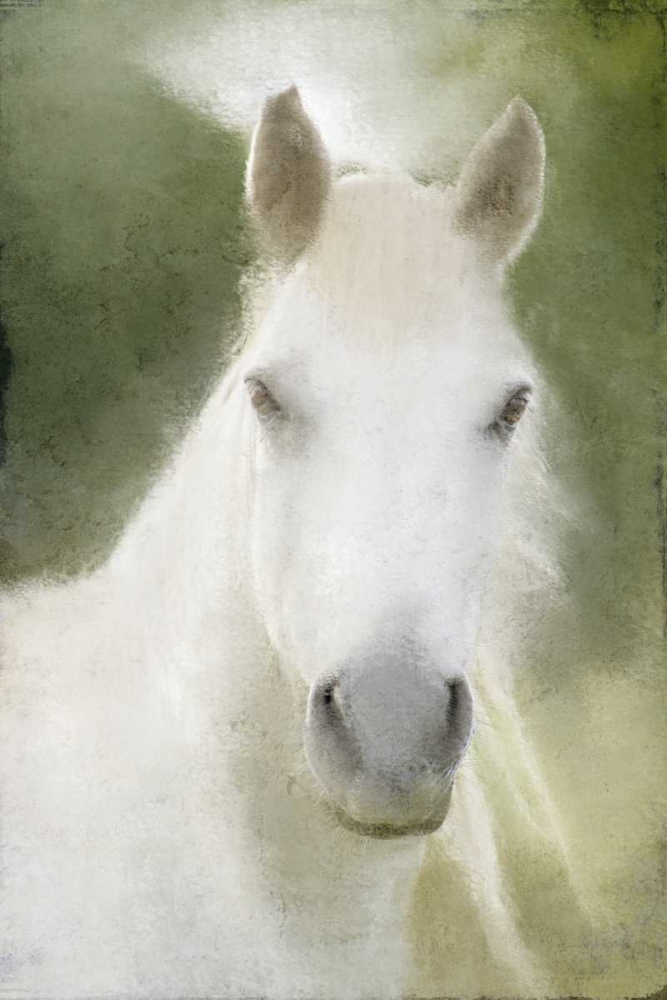 Calm art print by Kimberly Allen for $57.95 CAD