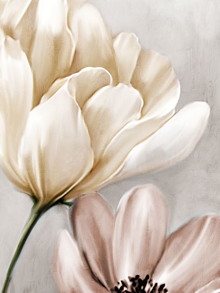 Blooming Mocha 1 art print by Kimberly Allen for $57.95 CAD