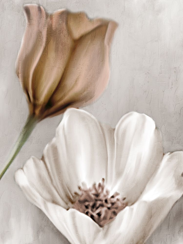 Blooming Mocha 2 art print by Kimberly Allen for $57.95 CAD