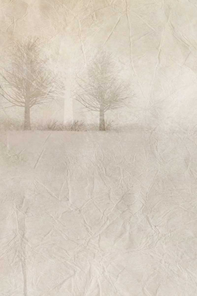 Misty Dawn 1 art print by Kimberly Allen for $57.95 CAD