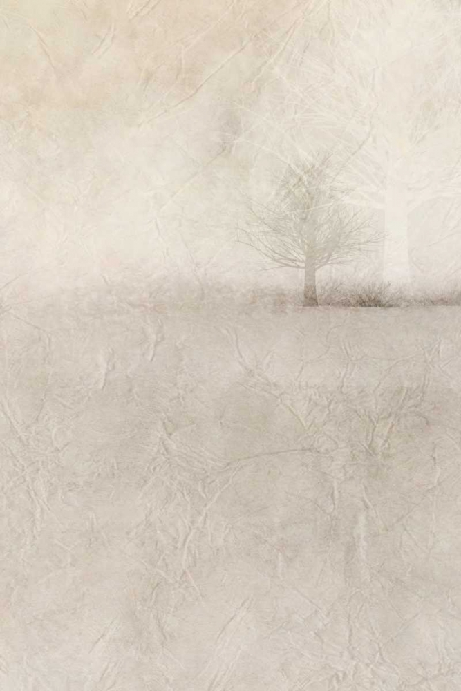 Misty Dawn 2 art print by Kimberly Allen for $57.95 CAD