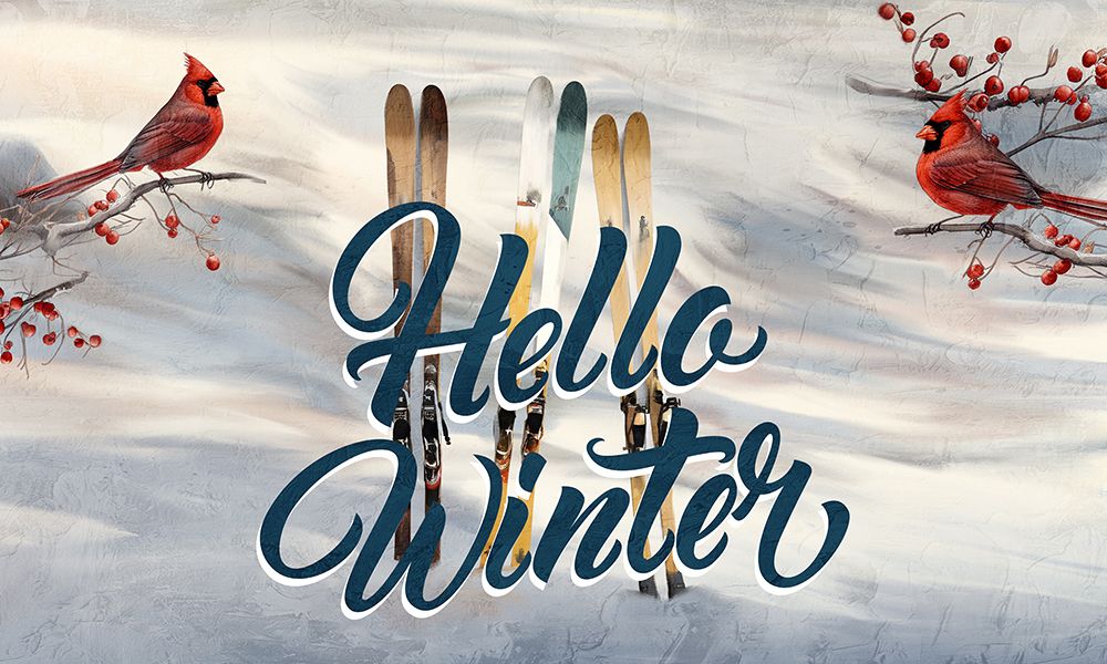 Hello Winter Cardinals And Skis art print by Kimberly Allen for $57.95 CAD