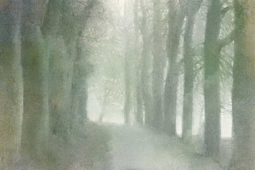 Natural Walkway art print by Kimberly Allen for $57.95 CAD