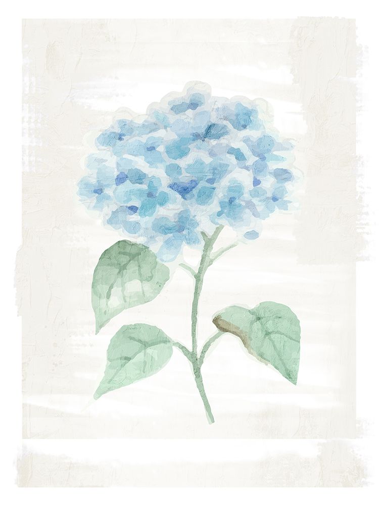 Hydrangea Print 1 art print by Kimberly Allen for $57.95 CAD