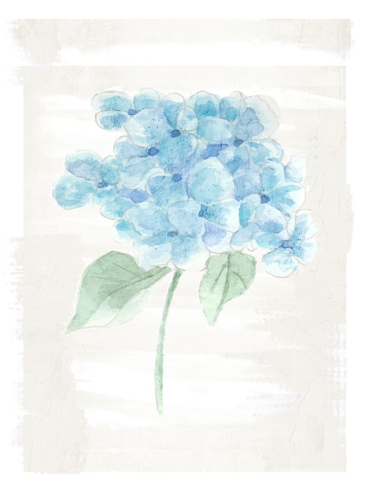 Hydrangea Print 2 art print by Kimberly Allen for $57.95 CAD