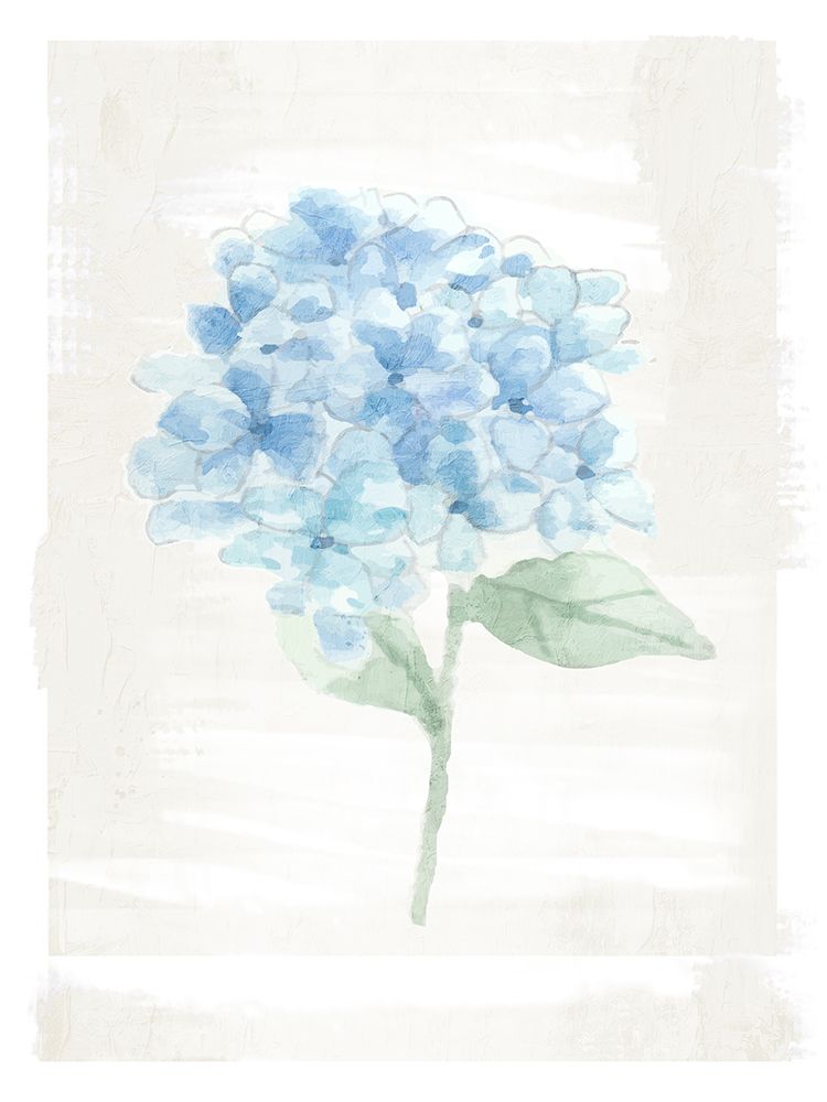 Hydrangea Print 3 art print by Kimberly Allen for $57.95 CAD