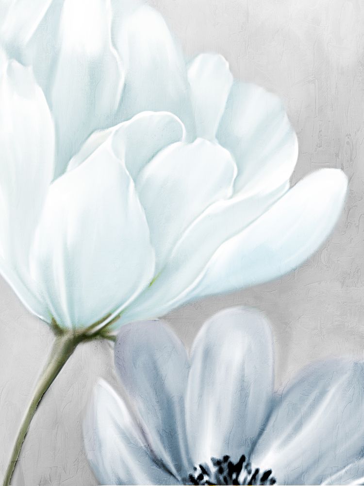 Blooming 1 art print by Kimberly Allen for $57.95 CAD