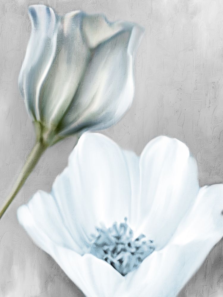 Blooming 2 art print by Kimberly Allen for $57.95 CAD