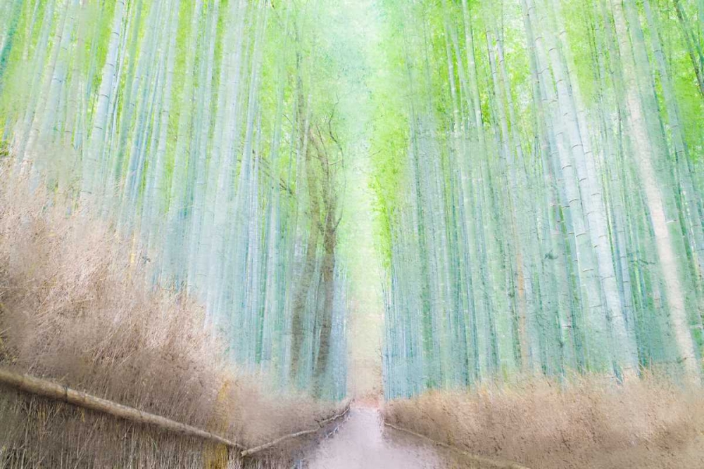Down the Path art print by Kimberly Allen for $57.95 CAD