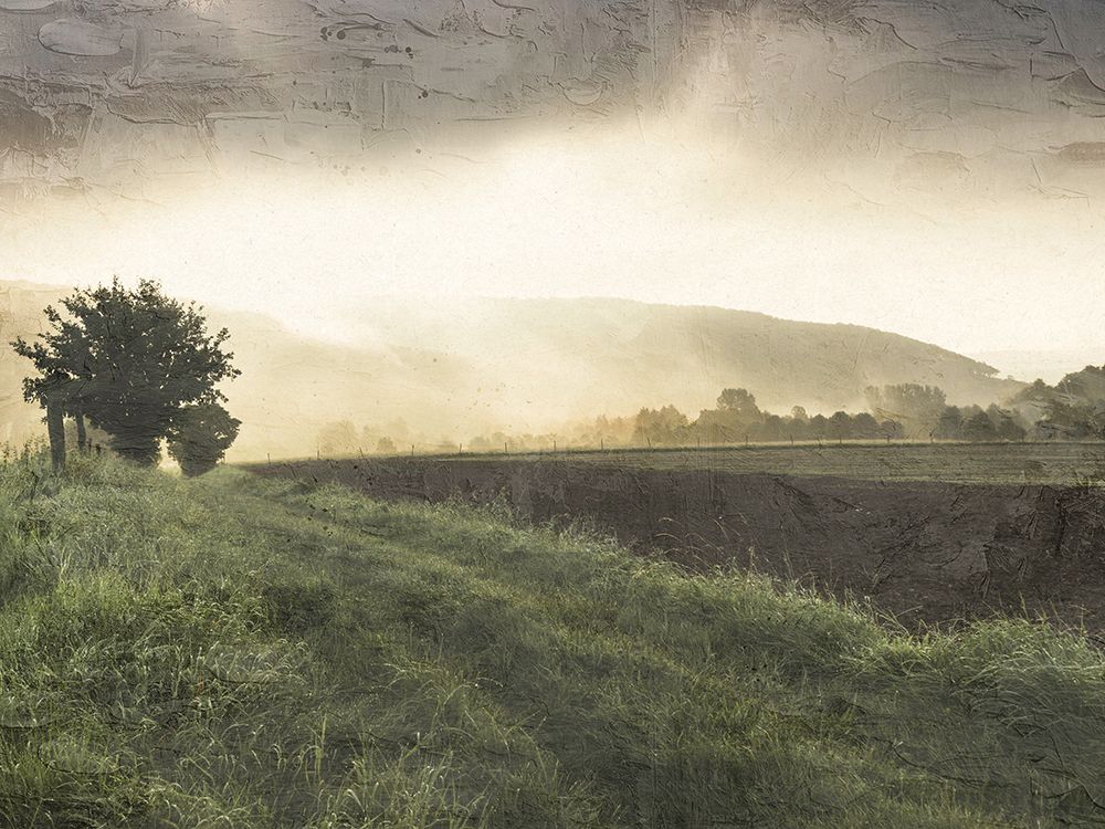 Sunset Field art print by Kimberly Allen for $57.95 CAD