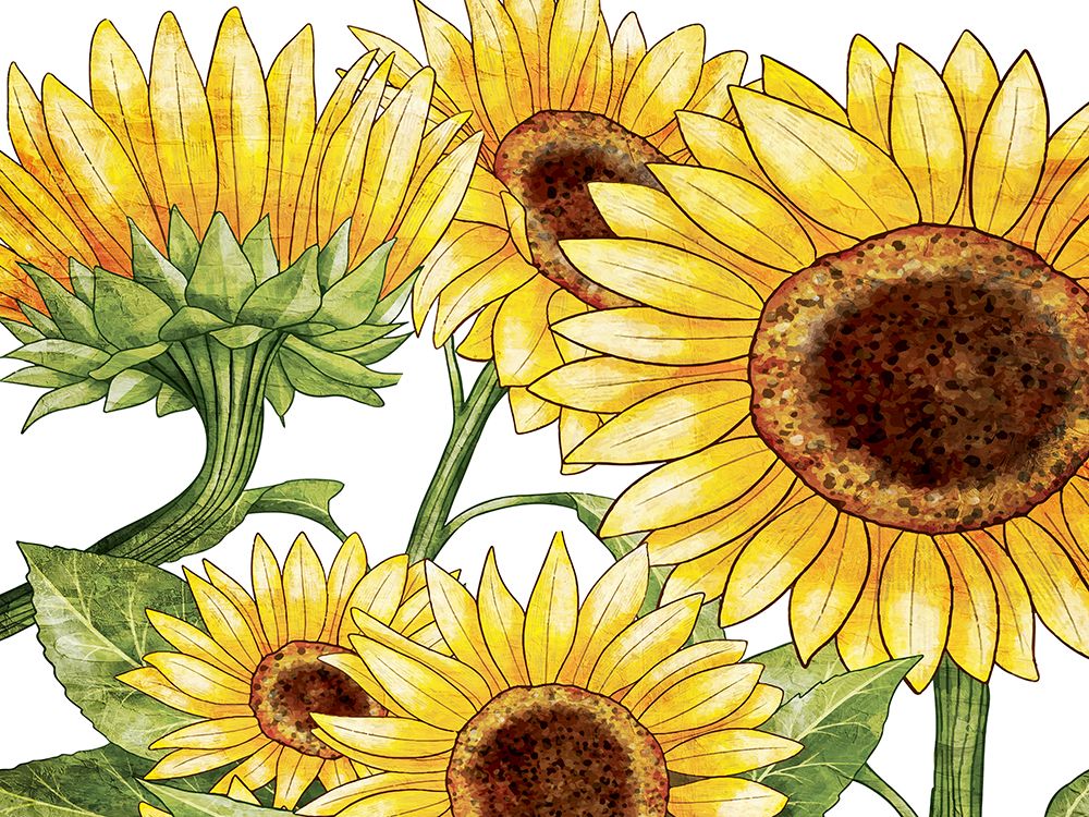 Sunflowers 1 art print by Kimberly Allen for $57.95 CAD